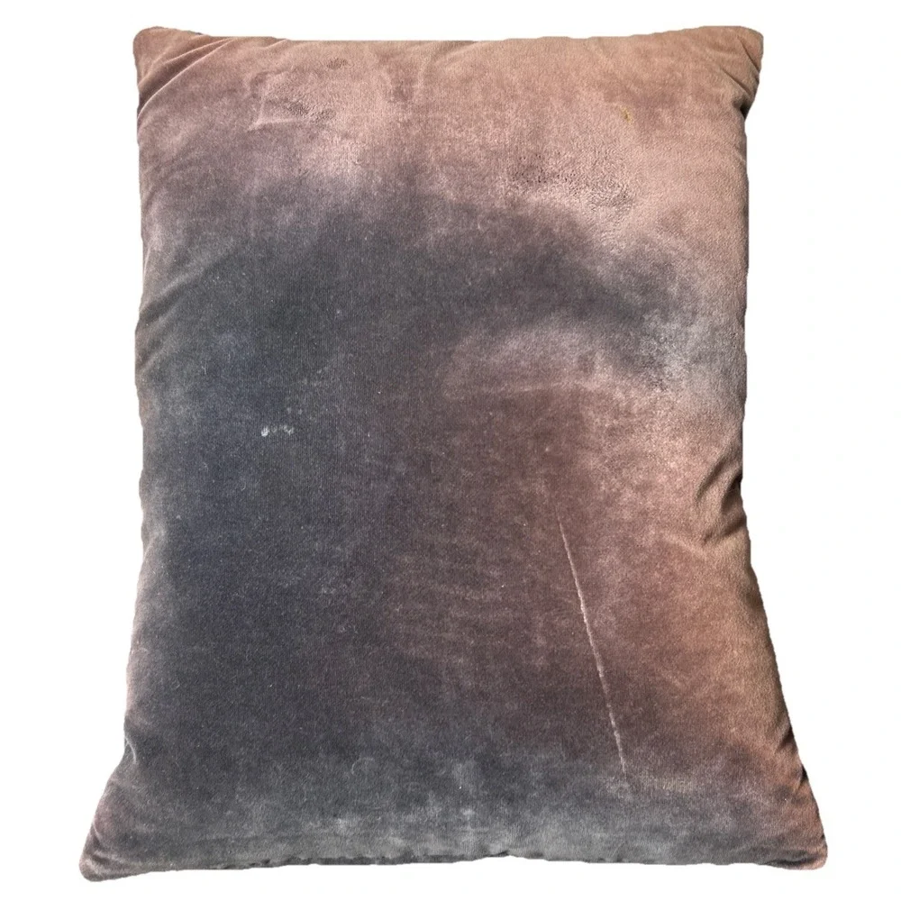 Pillow Tapestry Shih Tzu Dog Brown Zips St Island GA France